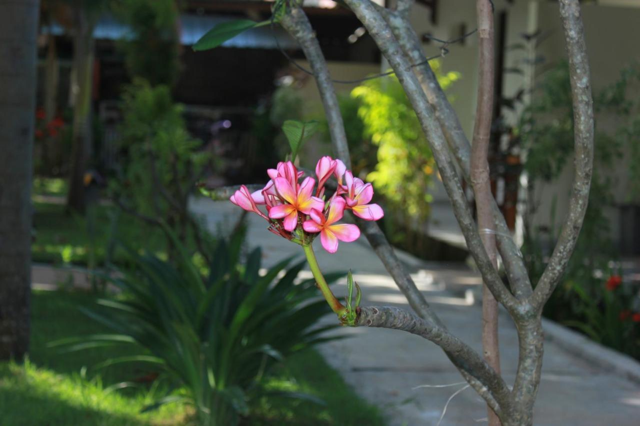 Herry Homestay Kuta  Extérieur photo