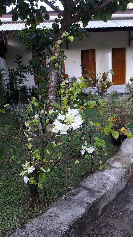 Herry Homestay Kuta  Extérieur photo